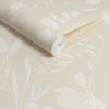 Subtle warmth of color Next Wallpaper Light Harmony Neutral