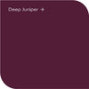 Dulux High Gloss Deep Juniper: Enhance your space with the intense and enchanting Deep Juniper color in a glossy sheen.