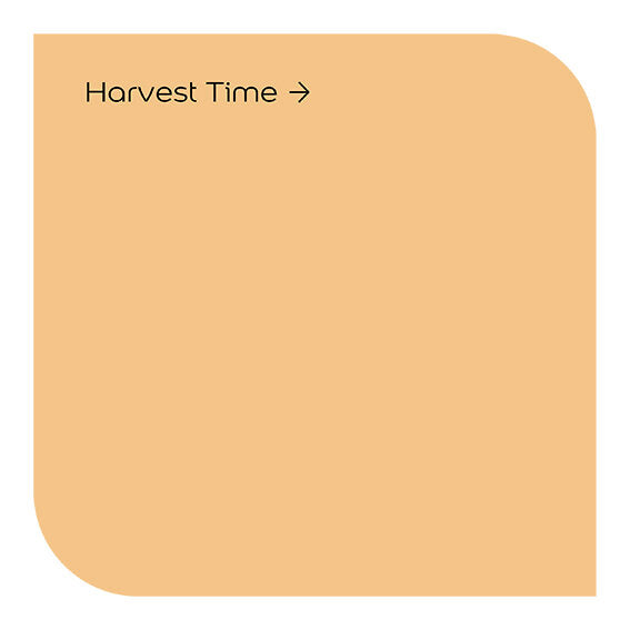 Dulux Weathershield  Harvest Time