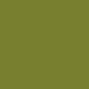 Citrine 71