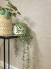 Wallpaper in hallway