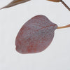 Decorative branch Assortment