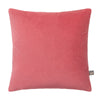 Scatterbox Cushion Richelle 58x58cm Raspberry