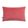 Scatterbox cushion featuring premium velvet fabric in raspberry.
