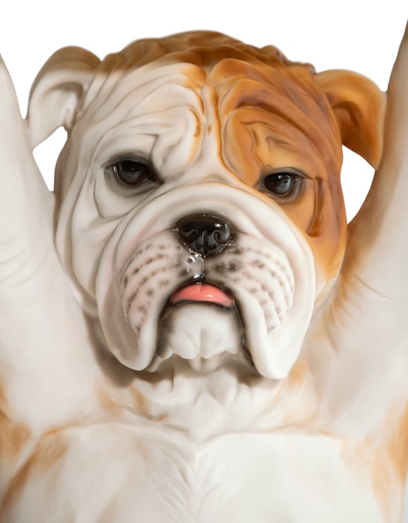 Bulldog Holding 