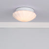 Cafe Bathroom Flush Scalloped Opal Glass IP44 life style picture