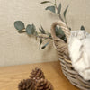 Belgravia Carmella Beige Texture Wallpaper life style photo on the wall
