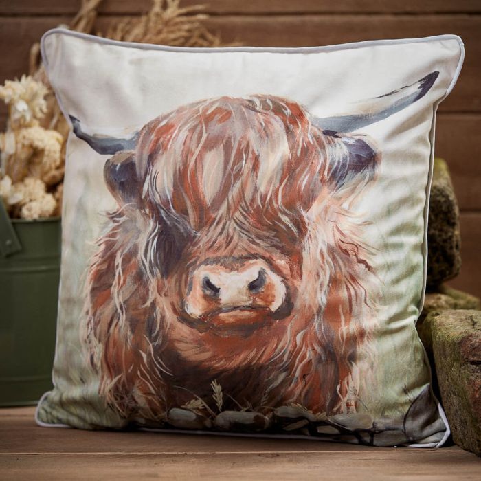 Dougal Highland Cow Cushion