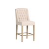 Daytona Counter Stool Beige picture on the white background