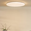 Duena Flush White Frosted Acrylic LED life style picture