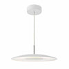 Enoch Pendant White & Stainless Steel LED picture on the white background