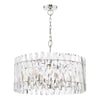 Entwine 8 Light Pendant Polished Nickel and Crystal picture on the white background