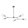 Euphemia 5 Light Pendant Black picture on the white background