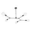 Euphemia 5 Light Pendant Black with adjustable height