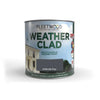Fleetwood Weather Clad Anthracite Grey 250ml tester photo on the white background