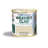 Fleetwood 250ml Weather Clad Barleycove photo of the paint tester bowl