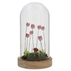 Flower Dell LED Dome Pink batteries opperated