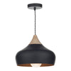 Gaucho 1 Light Pendant Black picture on the white background