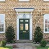 Vibrant green home paint colour for stylish interiors