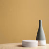 Home paint colour Ambition for stylish modern interiors.
