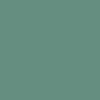 Rich wall paint in Graham & Brown Daintree green
