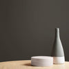 Eco-friendly interior painting choice - Graham & Brown Fetish Paint