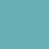 Graham & Brown Lifeguard Paint creates calming teal hues for your walls.

