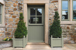 Elegant home paint colour in sage green

