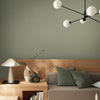 Graham & Brown Sage Paint for home decor

