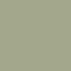 Wall paint in a soothing sage green shade

