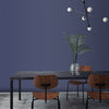 Transform your space with deep-toned Graham & Brown Sagittarius Paint.