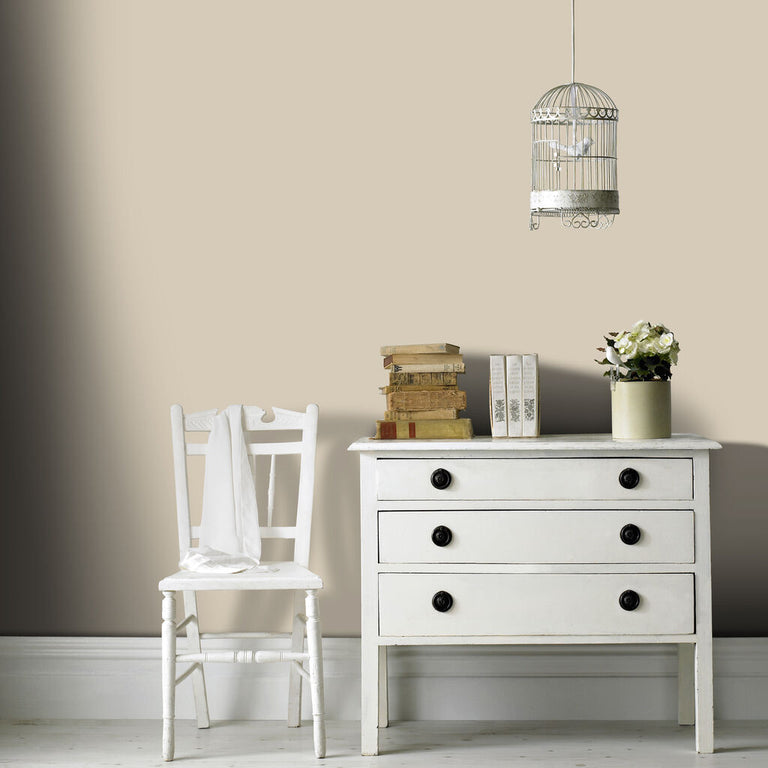 Graham & Brown Taupe Twist Paint