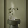 Graham & Brown Viridis paint for a calming space