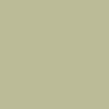 Muted green wall paint Graham & Brown Viridis