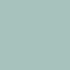 Elegant wall paint in a fresh and vibrant shade
