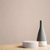 "Paint online Graham & Brown Canvas Paint for a classic finish"
