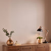 "Home paint colour Graham & Brown Canvas Paint in neutral tones"
