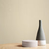 Premium wall paint with a luxurious matte finish