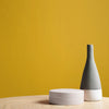 Graham & Brown Lioness Paint adds depth to any home decor