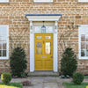 Home paint colour in a warm mustard tone – Graham & Brown Lioness Paint