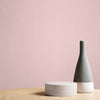 Home paint colour Graham & Brown Penelope Paint
