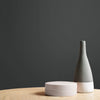 Elevate your space with Tattoo Paint, a striking home paint colour

