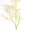 Gypso Spray 60 cm long lasting beauty