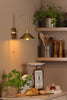 Hadano Wall Light Natural Brass and Aged Brass side view life style picture