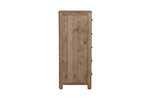 Inola 5 Drawer Tall Chest Cashew side view picture