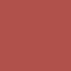 Graham & Brown King Of Paradise Paint close view picture of the paint color