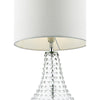 Kristina Glass Table Lamp Clear close view picture of the shade
