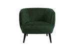 Lani Accent Chair Green front view picture