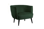 Lani Accent Chair Green picture on the white background