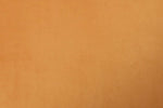Lani Accent Chair Mustard close view picture of the upholstery color